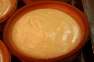 Custard Tart fs