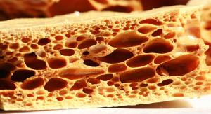 Honeycomb fs